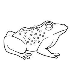 Coloring book: Toad