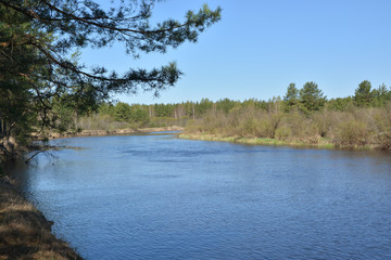 River landscape in early spring.