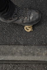 Man's foot stepping into a pile of dog poop on a pavement (sidewalk) in a British street. In Mansfield Woodhouse, Nottinghamshire, England. On 28th April 2016.