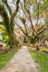 Cemetery in George town, Malaysia