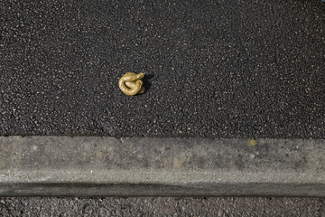Pile of dog poop on a pavement (sidewalk) in a British street. In Mansfield Woodhouse, Nottinghamshire, England. On 28th April 2016.