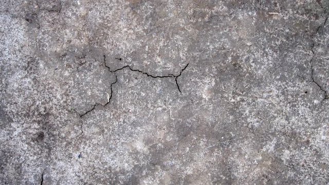 Cracks appearing in the ground
