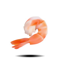 Cooked shrimp isolated on white photo-realistic vector illustration