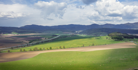 Obraz premium spot of sun on the green field