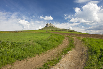 Fototapeta na wymiar fields road to old castle in Slovakia