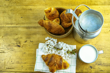 Aluminum milkcan witn organic milk and fresh baked croissants