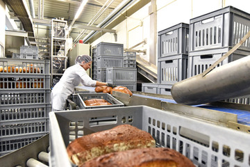 Arbeiterin verpackt Brote am Fliessband im Versand einer Großbäckerei // Worker an industrial...