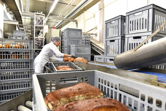 Arbeiterin verpackt Brote am Fliessband im Versand einer Großbäckerei // Worker an industrial bakery