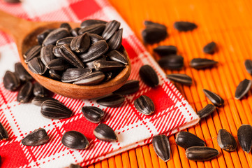 Fresh Sunflower seed and oil