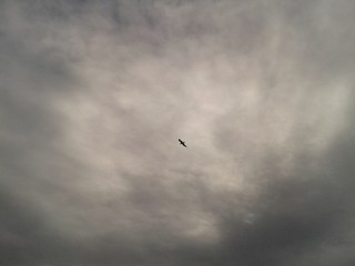 Voando sob as nuvens carregadas