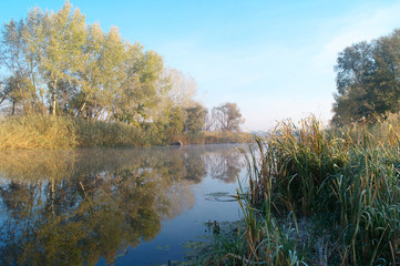 River landscape and autumn wood