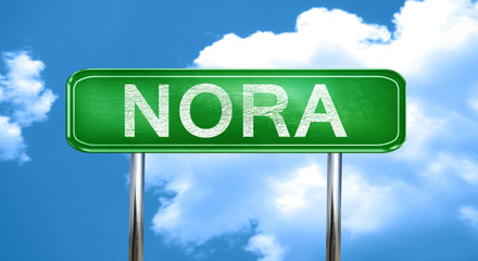 Nora vintage green road sign with highlights