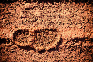 Imprint of the shoes on mud 