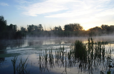 Morning landscape with fog on the river