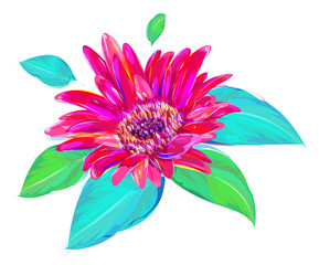 The cute gerbera on white background
