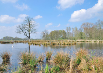 Obraz premium im Naturpark Schwalm-Nette bei Nettetal am Niederrhein,Rheinland,Nordrhein-Westfalen,Deutschland