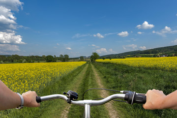 Fototapeta na wymiar Weg durch das Rapsfeld mit Fahrrad