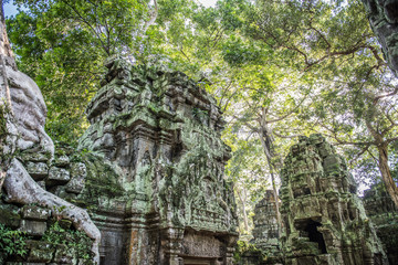 Ta Prohm in Cambodia