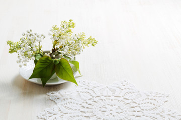Branch of bird-cherry in a small white vase