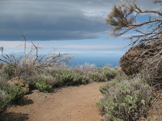 Fototapeta na wymiar Tenerife, Teide National Park