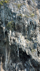 Fototapeta na wymiar limestone rocks at thailands coast
