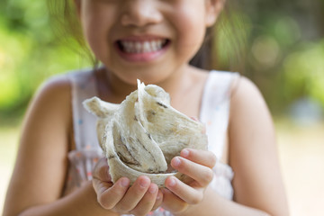 Closeup of swift-let nest on hand little girl