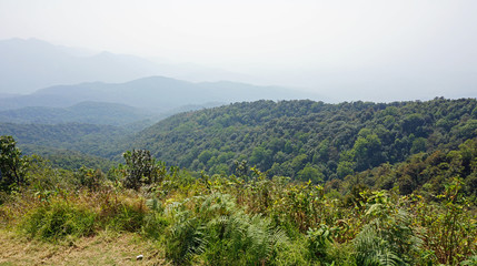Obraz premium doi inthanon nationalpark