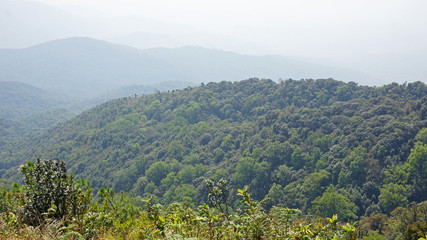 doi inthanon nationalpark