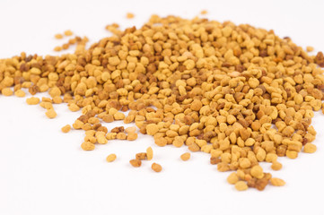 pollen grains on white background