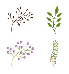 Flower design. Garden concept. Colorful illustration 