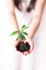 Young girl planting a plant. 