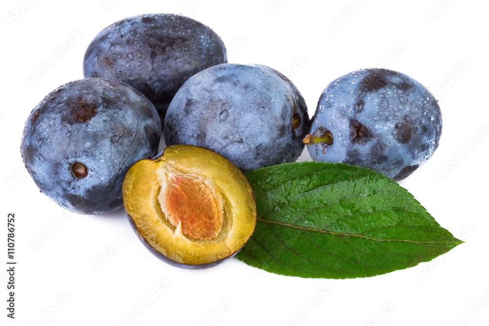 Wall mural Fresh plums with water droplets on white background.