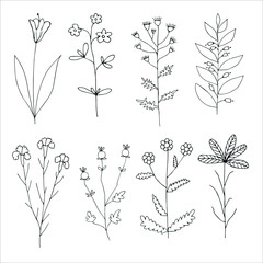 Floral Set. Hand drawn flowers on white background. Vector. Herbarium Set. Design elements for Wedding Invitations, Romantic Templates, Birthday Cards, Postcards, Patterns. Delicate Branches.