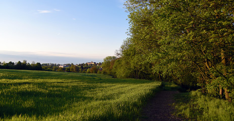 Green landscape near Kokorin castle