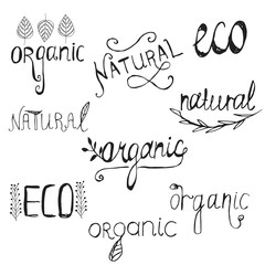 Logotypes set. Logo, Badges, labels, ribbons, plants elements,wreaths and laurels green branches. Organic, bio, ecology, eco natural design template. Hand drawn elements.