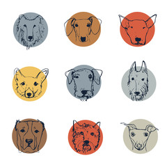 Collection of dog heads in sketched style. Made in vector. - 110791549