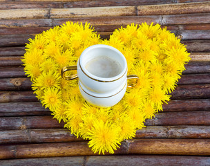 floral composition of dandelions