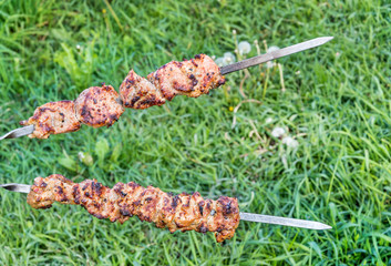 Two skewers with roasted meat on grass background