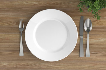 empty plate, spoon, fork and knife