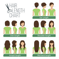 Set of different hair length for haircuts and hairstyles - short, medium and long length. Vector. - obrazy, fototapety, plakaty