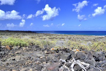Skalne wybrzeże na Lanzarote © Jurek Adamski