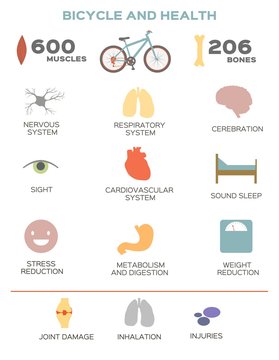 Bicycle info graphic. Healthy lifestyle info graphic. Isolated vector elements. Modern design elements.