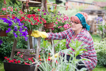 Fototapeta na wymiar Gardeners hands planting flowers at back yard