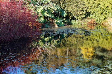 The gardens at High Beeches in Handcross