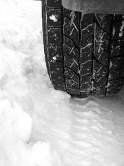 Old Truck Tire in Fresh Snow