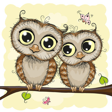 Greeting card with Two Owls