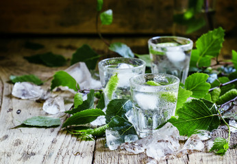 Cold Russian vodka, on birch buds, crushed ice birch leaves, vin