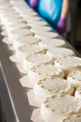 Long rows of white cakes. Lots of cakes on conveyor. New design for delicious cake. Stylish and tasty.