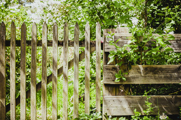 Schrebergarten im Frühling