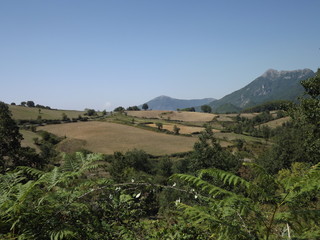 Fototapeta na wymiar Campagna in montagna
